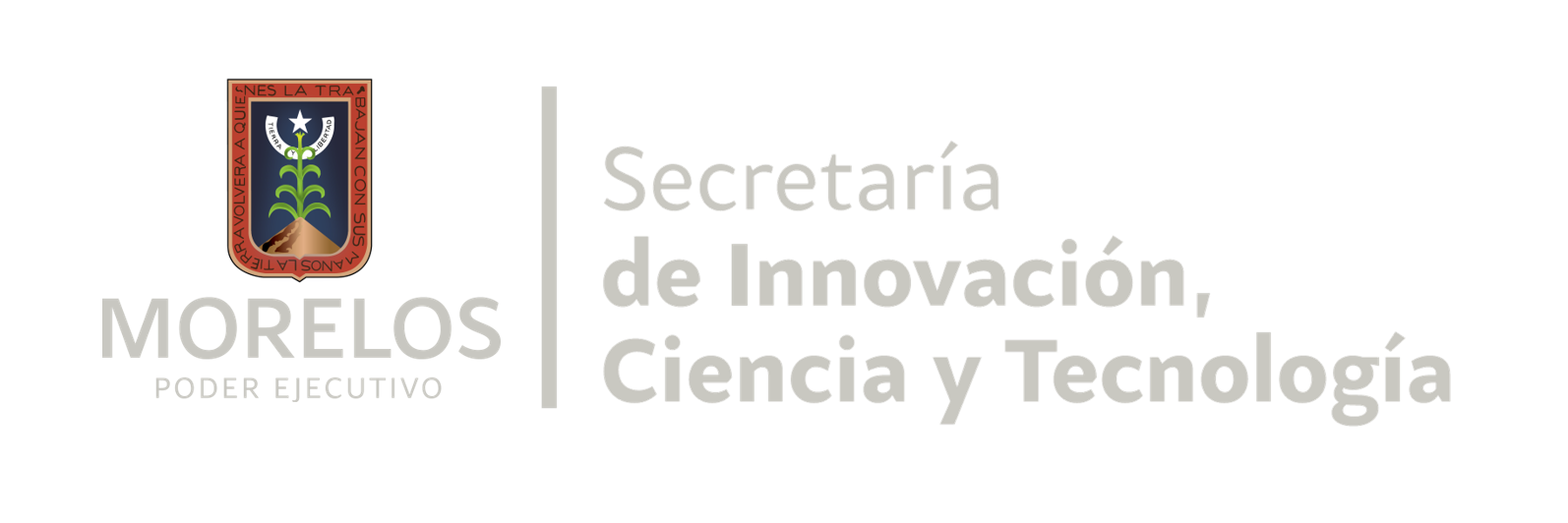 Secretaría de Innovación Ciencia y Tecnología