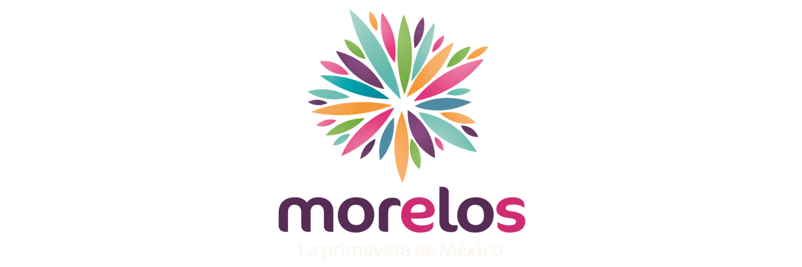 Flor de Morelos